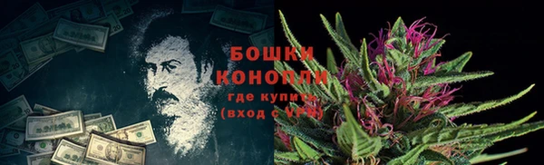 экстази Няндома