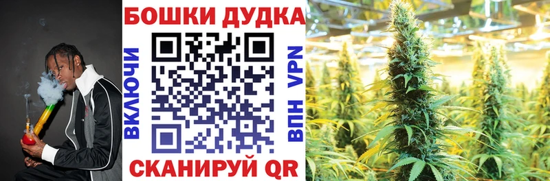 Бошки марихуана OG Kush  где продают   Пыталово 